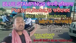 Blue Stamping, And Forgings Limited 25,Secter, Faridabad ,Company Job 2023