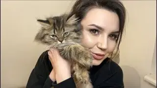 Провожаем Лексуса)