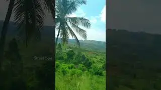 Beautiful Srilanka #traval#srilanka