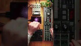 vibing on the mini microkorg #jamuary2025 #digitakt2 #chromaconsole #microkorg #ambientcuration