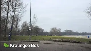 Relaxing Nature Drive in Kralingse Bos 🌳 | Rotterdam, Netherlands