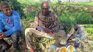 Tasty yellow rice and fish while hunting for wild hog