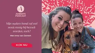 Mijn oudere hond zal wel nooit rustig bij bezoek worden, toch? #152