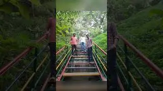 Forest visit #southgujarat #forestvisit