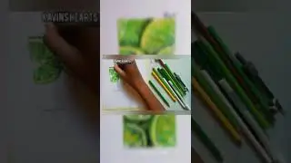 Realistic Lime Drawing using Normal colour pencil