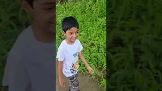 #naturewalk #nature #outing #tracing #rainyday #rainyseasonvibes