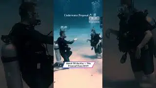 He Proposed Underwater &mdash; This Might Be the Boldest Proposal Ever|| Heartsome 💖
