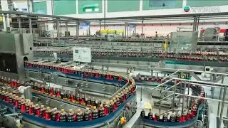 無窮之路V - 智行無疆｜直擊調味食品公司的「燈塔工廠」見證每小時數萬瓶醬油的產線奇跡｜無窮之路｜陳貝兒｜資訊｜TVBUSA