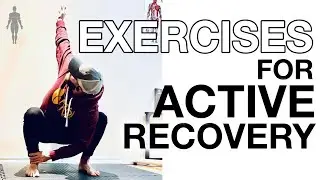 Exercises For ACTIVE RECOVERY | Human 2.0 Education