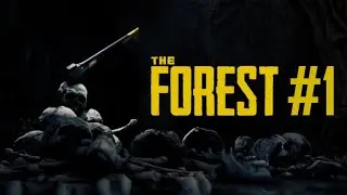 Wir sind mit dem Flugzeug abgest&uuml;rzt! // The Forest #1 (German/PS4)