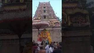 Koyambedu Vaikundavasa Perumal Gopura darisanam #vaikundaekadesi #gopuradarisanam