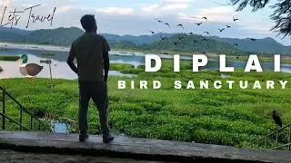 Diplai Beel, Natural Wetlands-Kokrajhar (Assam) #travelvlog #trandingviralvideo