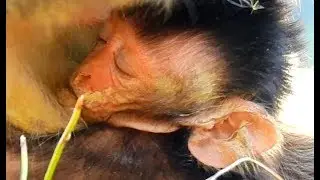 LOOK POOR FACE JAYDEN | Baby Jayden feel deep hungry hard get milk full till fall asleep.