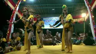 TARI SAYA CARI DOLALAK PUTRI SEKAR WANGI LIVE MUNGKID, MAGELANG