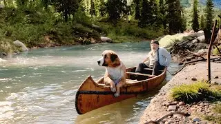 In Search of the Golden River &ndash; A Man and His Dog's Last Journey | Adventure Movie Explain in Hindi