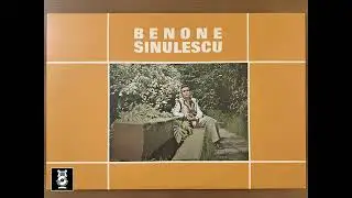 Benone Sinulescu - La o margine de sat