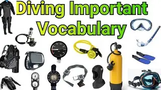 Diving all Most Important Vocabulary in English with Pictures || Diving Vocabulary words in English