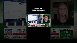 Are you Holding MSFT & META stock? I am!