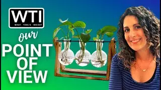 Our Point of View on XXXFLOWER Plant Terrariums From Amazon