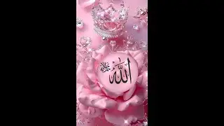 What is the best zikr in Urdu|ya hayyu ya qayyum|heart touching zikr|sayeed na kareemon|sufi zikr