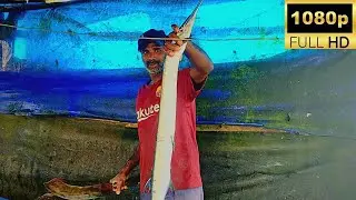 GAR FISH CUTTING | FISH CUTTING SKILLS