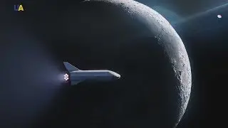 Компания SpaceX выбрала первого космического туриста, который облетит Луну