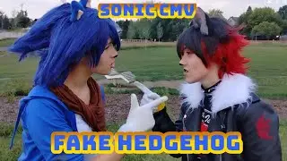 Fake Hedgehog by Random Encounters | Live Action