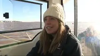 Exe Estuary wildlife refuges Jan 2024 - ITV Westcountry
