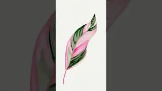 Procreate timelapse #procreate #procreatetimelapse #procreatevideo #etsyseller