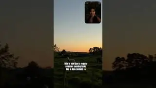 Ala sunflower 🌻 farm lo part-2 #shortsfeed #telugushorts #hyderabad  #nzmustdo #tiktok #ytshorts
