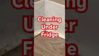 Cleaning Under the Fridge | Hidden Dirt Removal