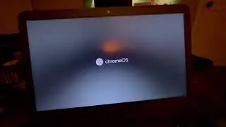 How to enable developer mode on Chromebook *EASY*