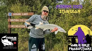 FISHING 2025 - STURGEON - WAR-N NIKLZ
