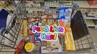 Food Lion Haul 