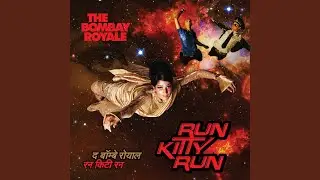 Run Kitty Run