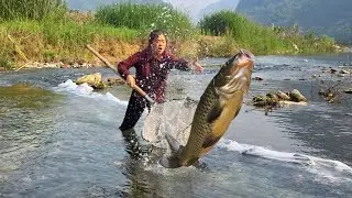 FULL VIDEO 30 days of farm construction, garden renovation and catching fish for sale.