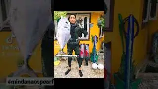 African Pompano Caught Using 90cm Wooden Speargun | Mindanao Spearfishing Philippines