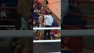 Spinning Backfist Knockout