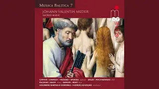 Quid est hoc quod sentino: No. 1, Sinfonia
