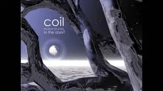 Coil - Musick to Play in the Dark Vol. 2 (Full Album)