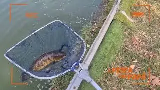 A Pesca con Pap&agrave; - Gennaio 2026 - 6