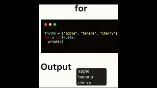 Python Control Flow // 
