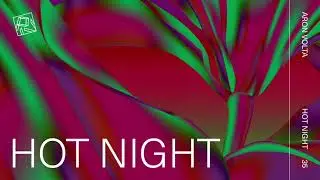 Aron Volta - Hot Night (PIV035)