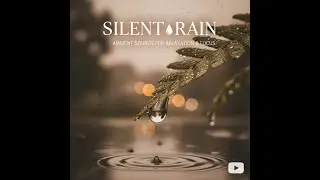 Gentle Rain Drops on Window 🌧️ 2 Hours | Relaxing Rain Sound for Calm, Focus & Sleep
