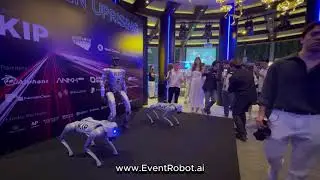 Robot Dogs and Humanoid Robots for Deep Tech Event
