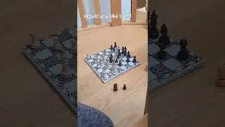 Playing on an embroidered chess board 🪡