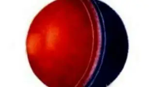 Усатый полосатый