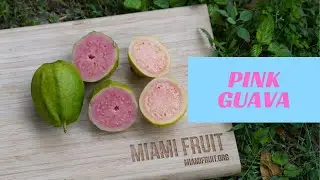 How to tell when pink guava is ripe