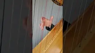 Hand Position at the Harp #shorts