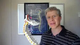 Omaha Neck Pain Chiropractor - Voithofer Chiropractic & Accident Rehab